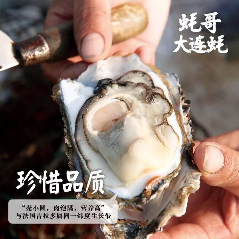 在生蚝最肥美的季节，就要最“鲜溜”地吃，快