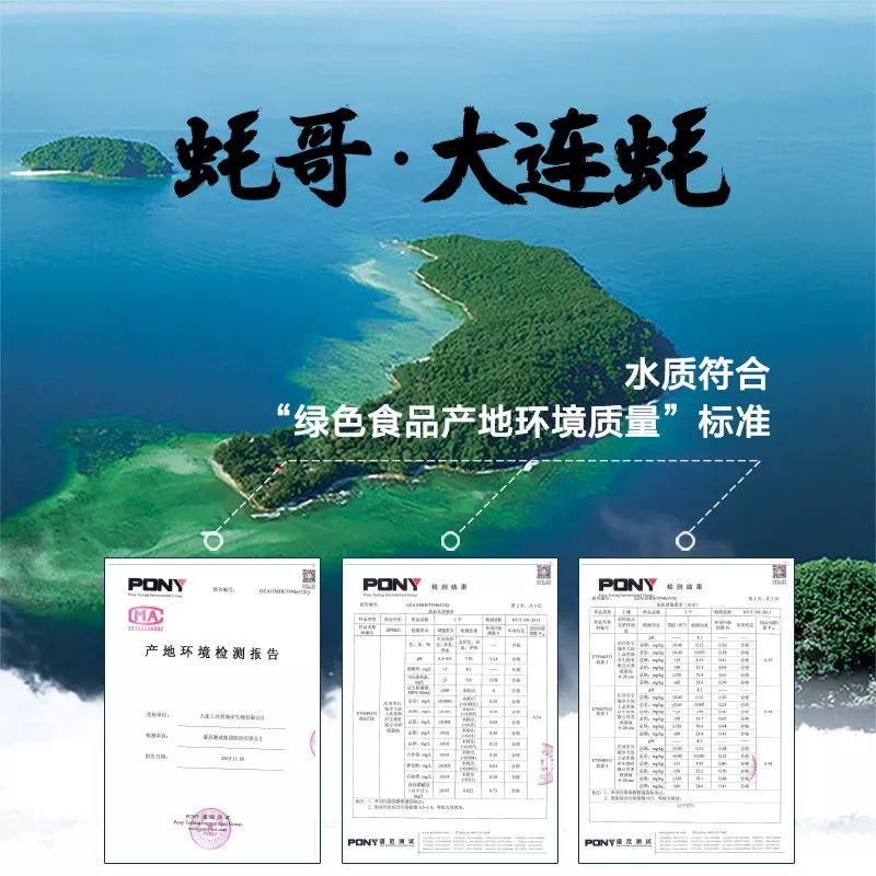 在生蚝最肥美的季节，就要最“鲜溜”地吃，快