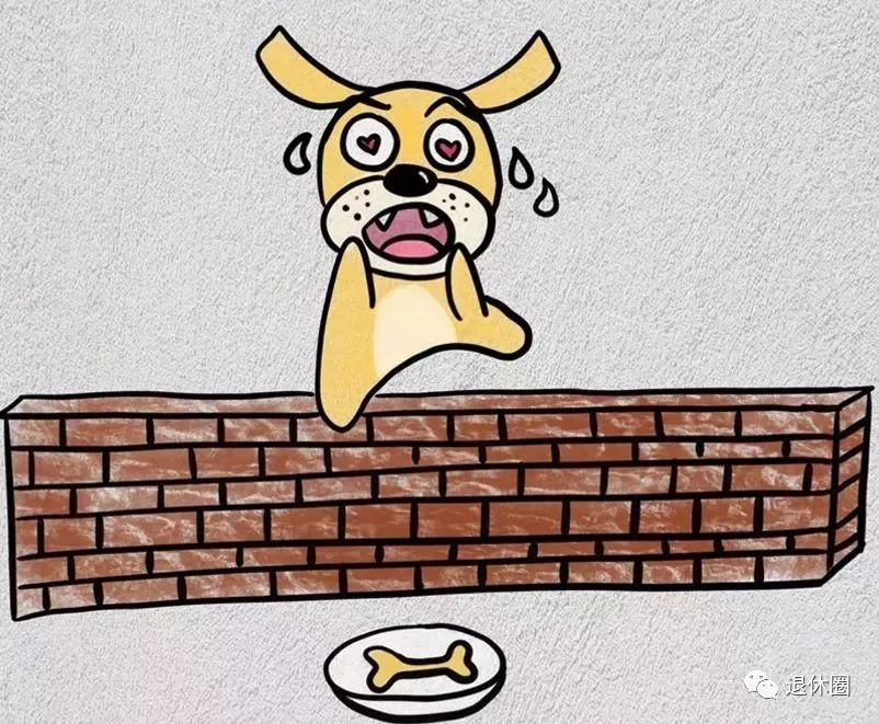 6个关于狗狗的成语,全部猜对了不起!最后一个难倒99%的人