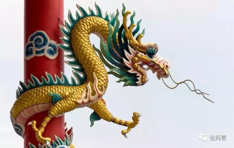 12生肖宝宝最热门小名大全！你家宝宝也在里面吗？
