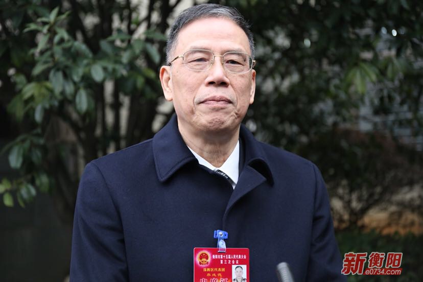 衡阳市人大代表谈振兴实体经济和乡村振兴战略
