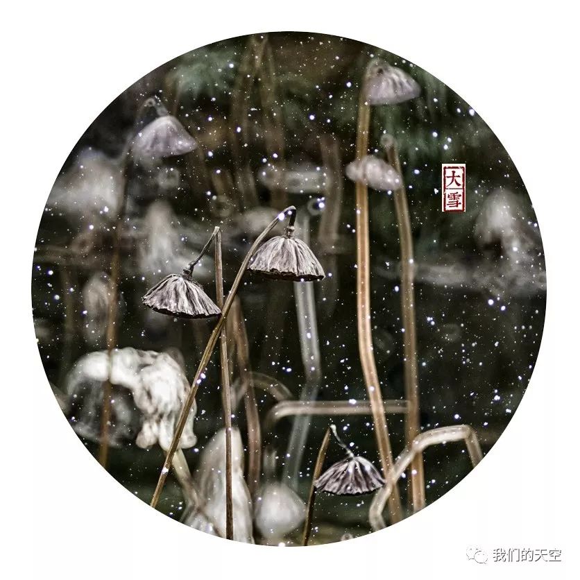 今日大雪:茫茫原野一片白,万物冬藏待春来