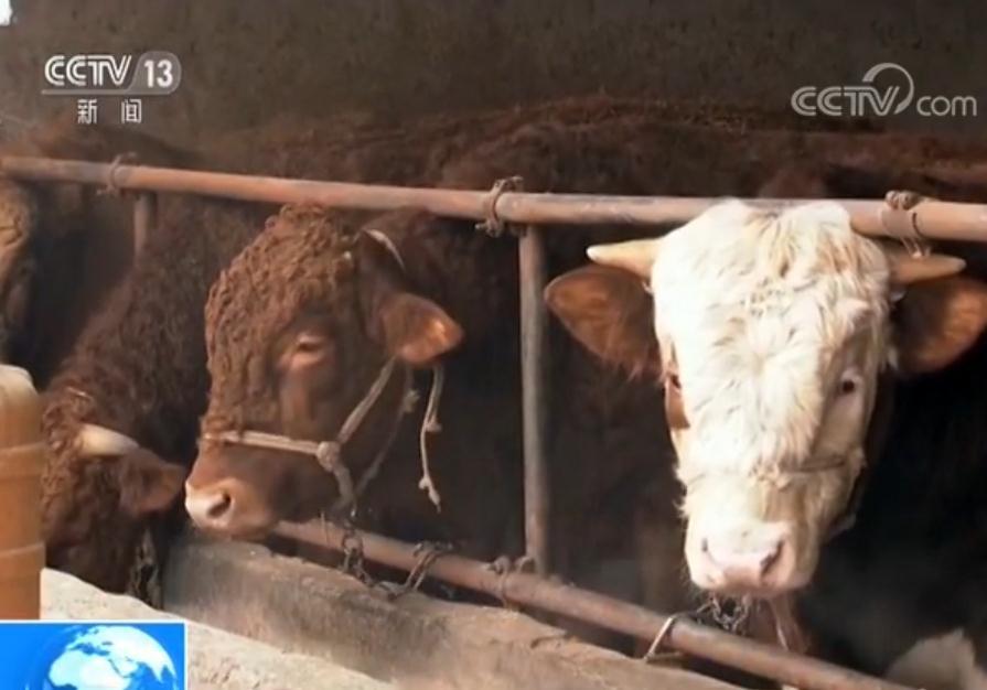 优秀共产党员李进祯:默默奉献 不忘初心|优秀共