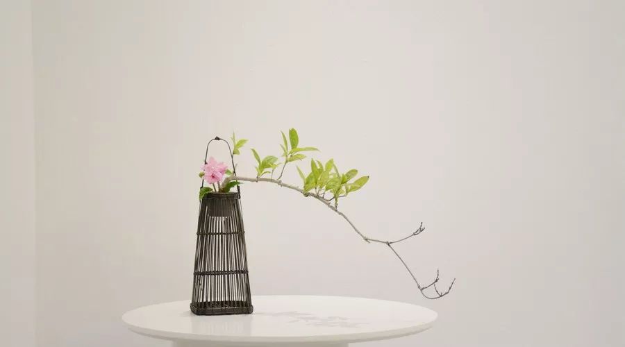 远嫁的姑娘最怕过年|过年|爸妈|爱情