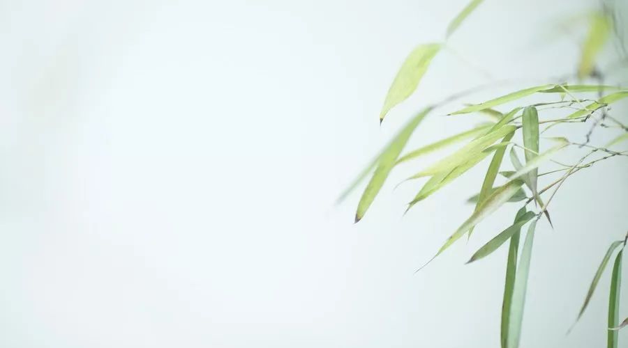 原来这就叫“竹子定律”!