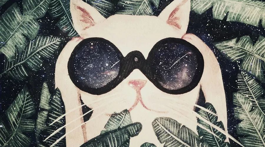 眼瞎测试:你能看到隐藏的图形吗?