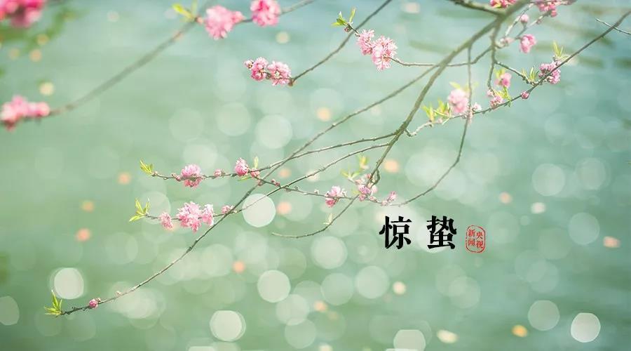 【夜读】惊蛰:红杏深花,菖蒲浅芽,春畴渐暖年华