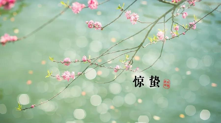 【夜读】惊蛰:红杏深花,菖蒲浅芽,春畴渐暖年华