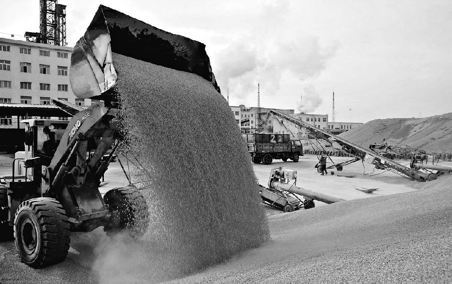 171211b1.JPG “订单+保险+期货”助力农业产业做大做强