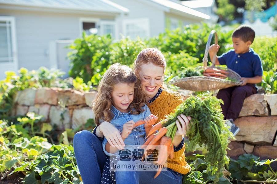 一位园长用多年管理经验告诉你 如何选择安全