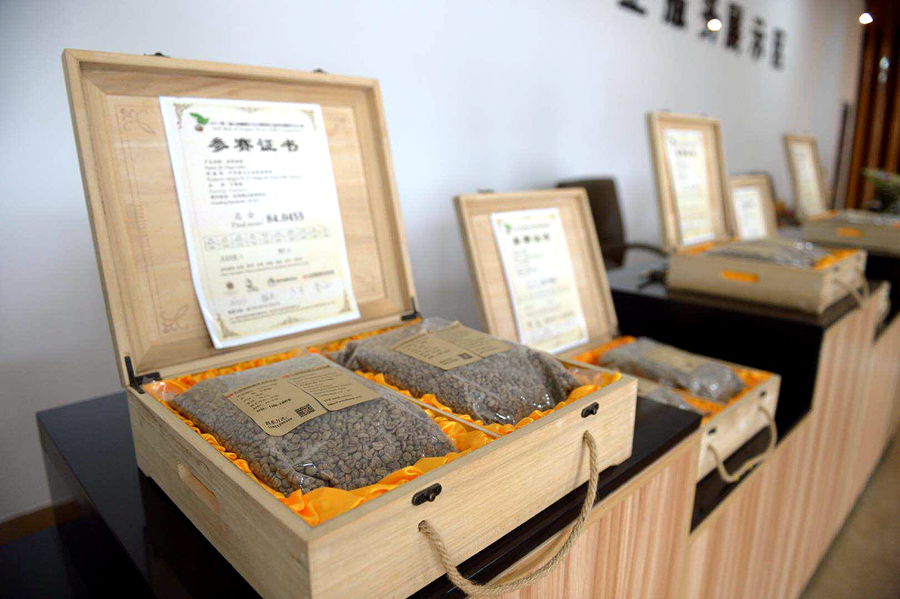 普洱咖啡·全球共享首届普洱国际精品咖啡博