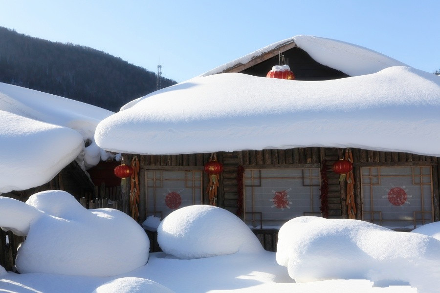 被指 雪白心黑 ,雪乡究竟错在哪里|雪乡|旅游|营