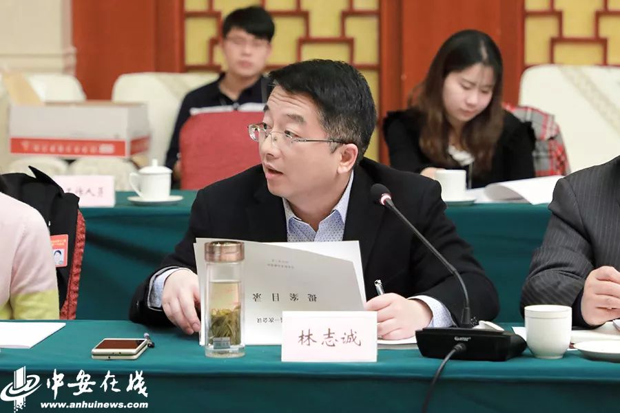 政协委员林志诚发言.