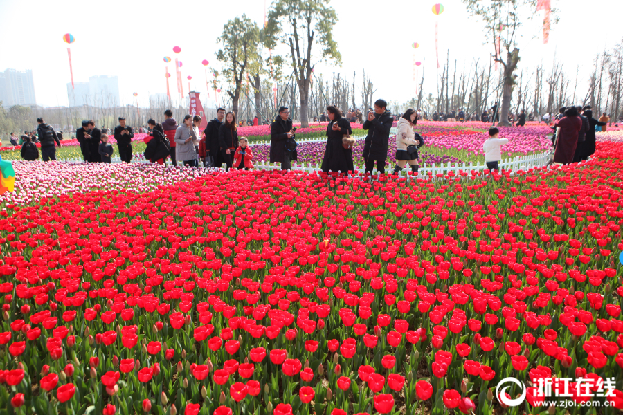 阴阳师于家什么梗