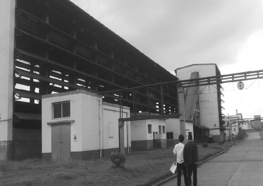 企业利用期货 获得全面转变|期货|现货企业|金信