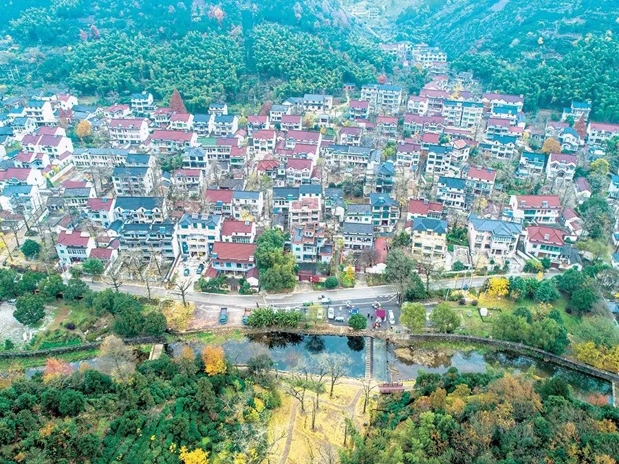 中共中央政治局第一次民主生活会释放了什么信