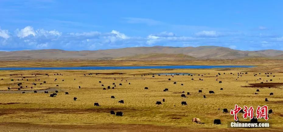 古人的名、字、号…居然有这么多讲究