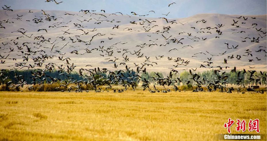 古人的名、字、号…居然有这么多讲究