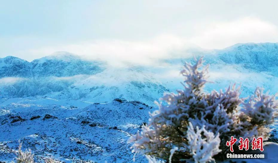 2018年最讽刺的句子(太精辟!)|陌生人|句子|人生