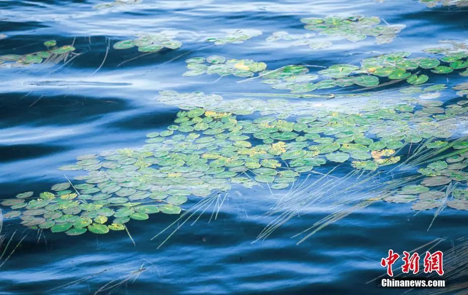 十句古诗词,说透了人生|古诗词|人生|相思