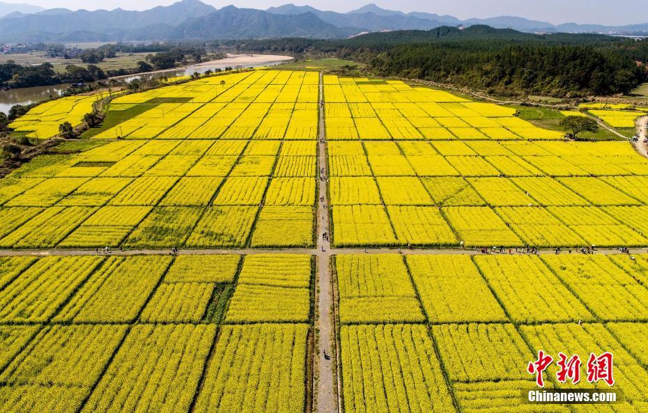 大兴安岭地下现罕见太岁