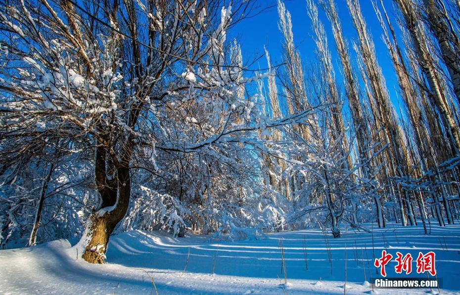 2018年最讽刺的句子(太精辟!)|陌生人|句子|人生