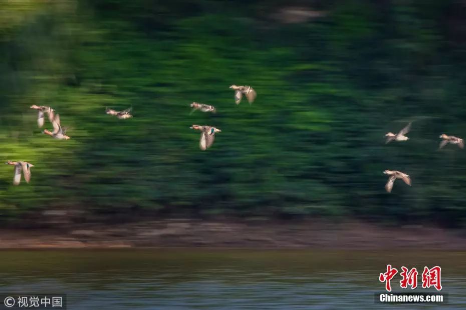 12字说清烦恼,12字说透人生|都晓|知事|视觉中