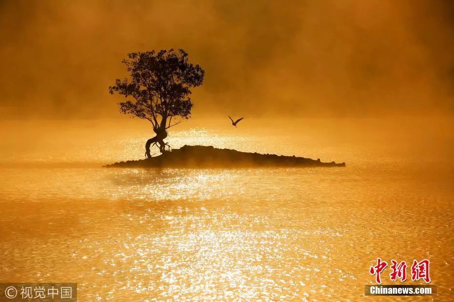 12字说清烦恼,12字说透人生|都晓|知事|视觉中