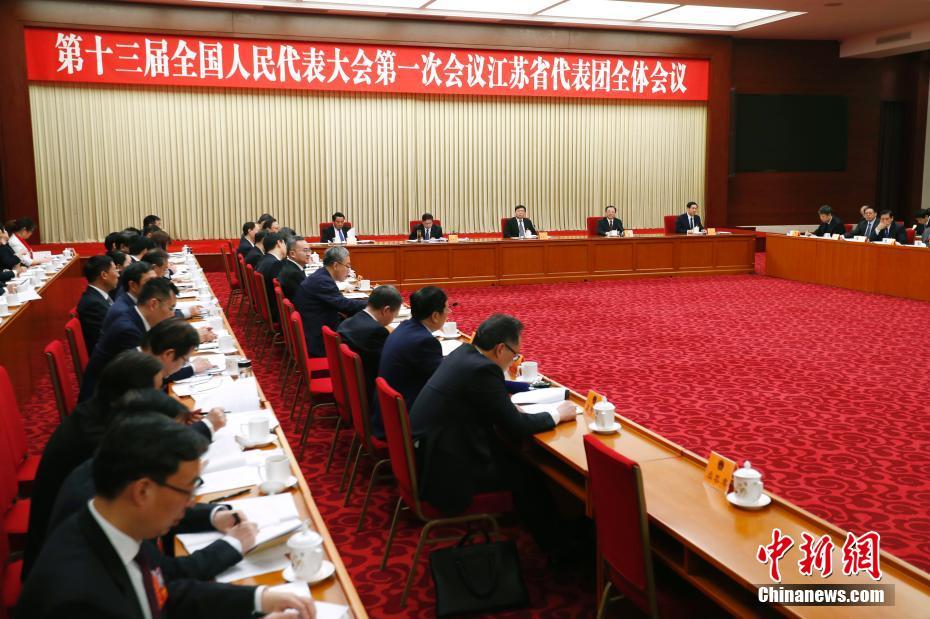 全国人大江苏省代表团举行全体会议 审议政府