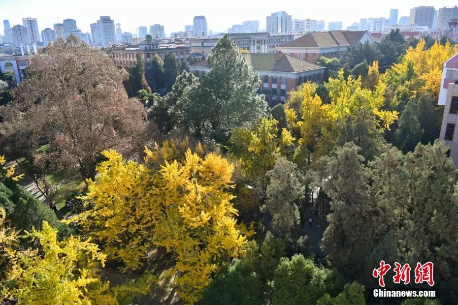 12字说清烦恼,12字说透人生|都晓|知事|视觉中