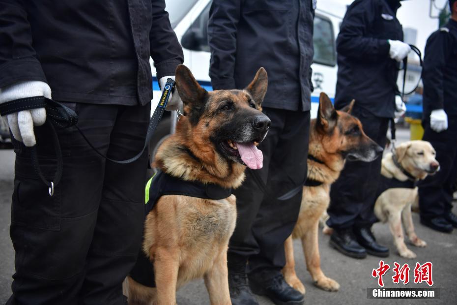 米兰德比历史战绩-万博·体育(ManBetX)官方网站_ManBetx