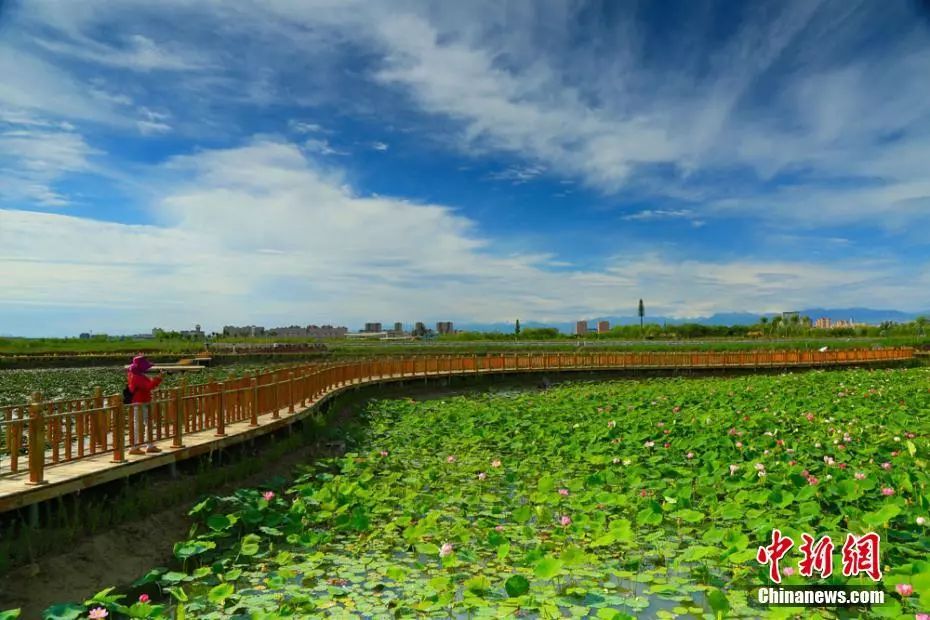 十句古诗词,说透了人生|古诗词|人生|相思