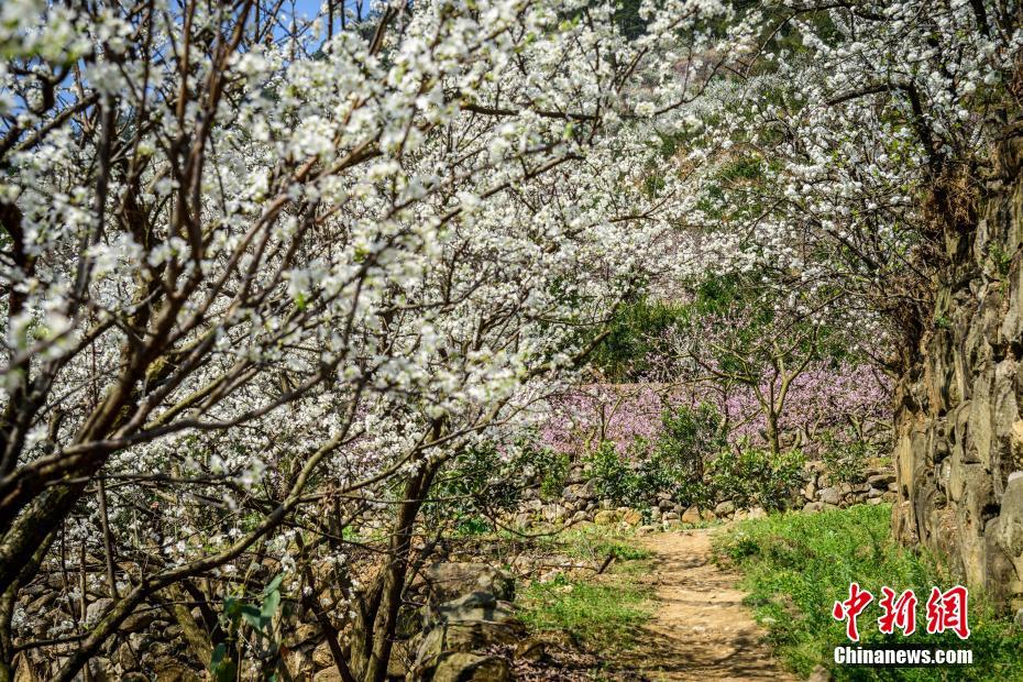 大圩镇：打莲湘舞花船非遗民俗闹元宵