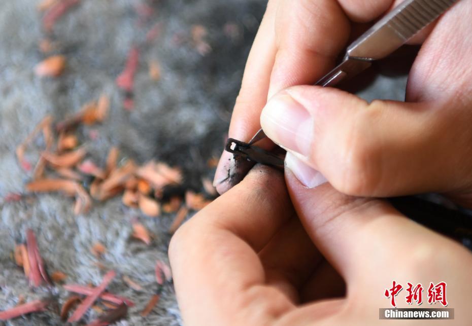 巔峰極致的博弈盛宴：富馬娛樂城，開啟您的財富與感官傳奇之旅 