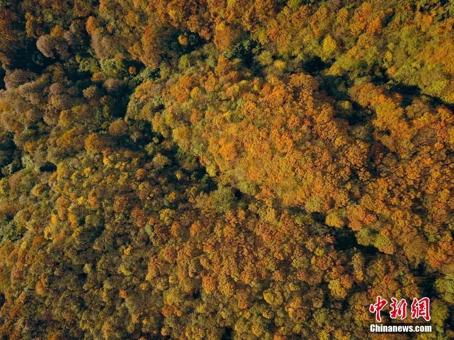 12字说清烦恼,12字说透人生|都晓|知事|视觉中