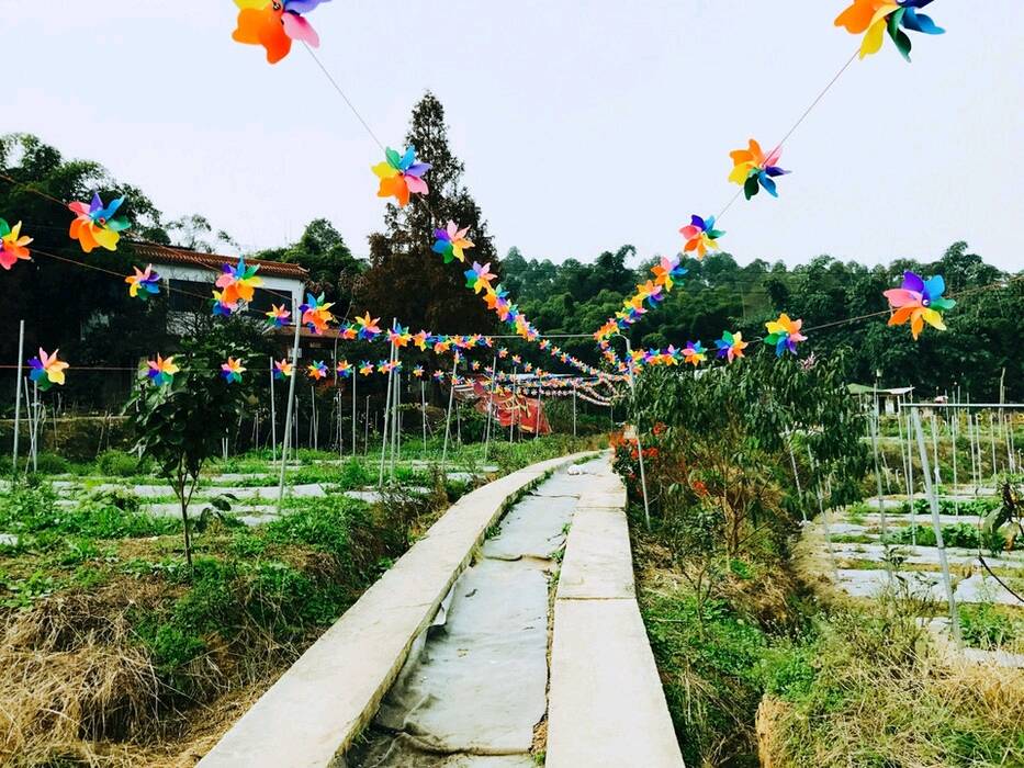 成都周边最强冬草莓采摘地图出炉,最快40分钟