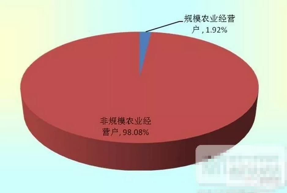 1100万人从事畜牧业!环保高压下明年有多少人