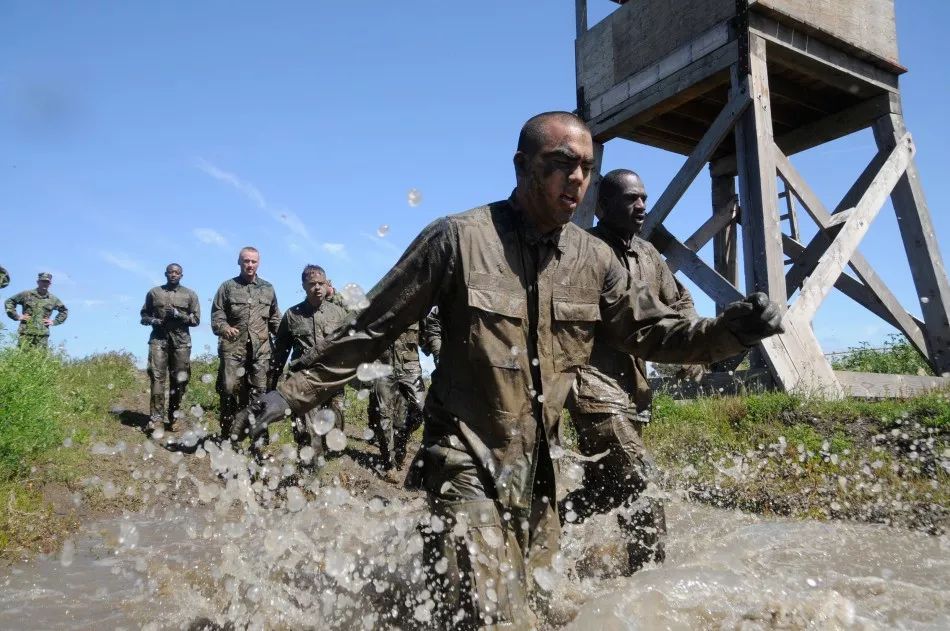 赠书 | 除了魔鬼训练,海豹突击队真正不为人知的“秘密武器”在这里--|海豹突击队|秘密武器|美国海军_新浪军事