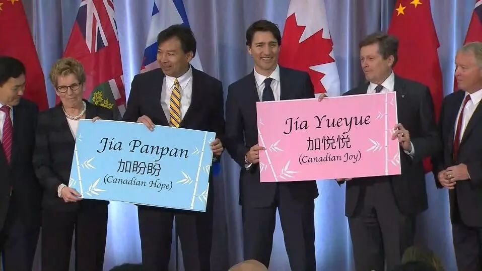 ▲资料图片：2016年，在加拿大诞生的两只熊猫宝宝分别被命名为“加盼盼”和“加悦悦”，加拿大总理亲自出席命名仪式。