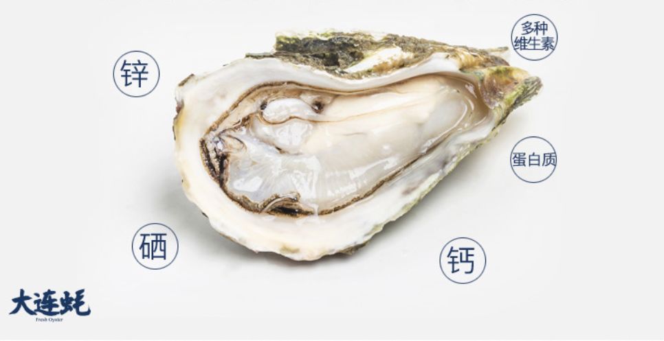在生蚝最肥美的季节，就要最“鲜溜”地吃，快