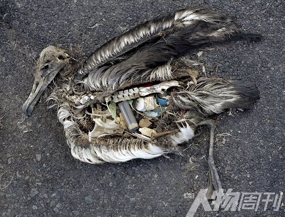 塑料危机席卷全球 | 图片故事