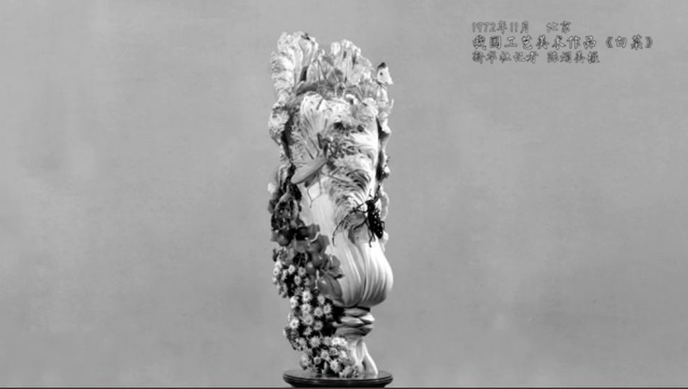 国家相册 | 百菜之王白菜是什么味道?这个答案