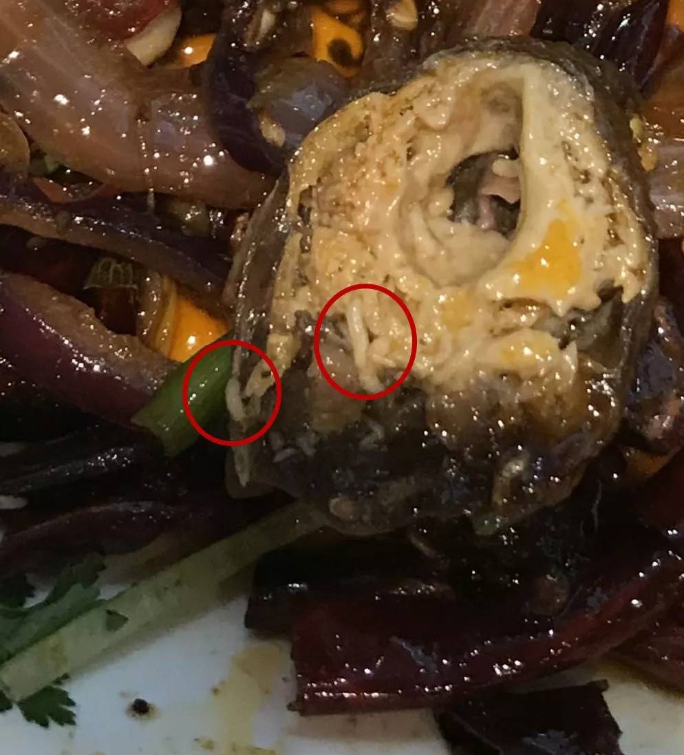 恶心!深圳女子在一连锁餐厅里吃出活蛆,还不断在蠕动