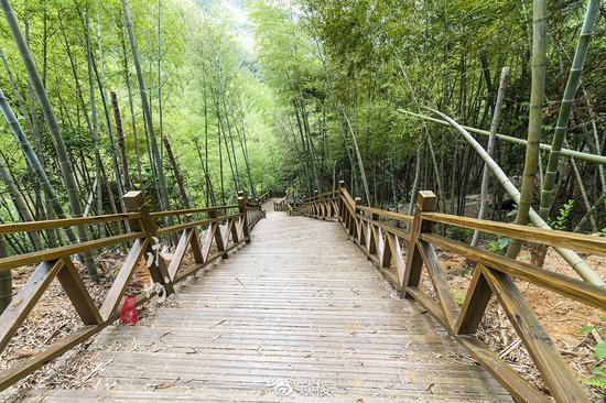 山青水秀的永州湘江源國家森林公園
