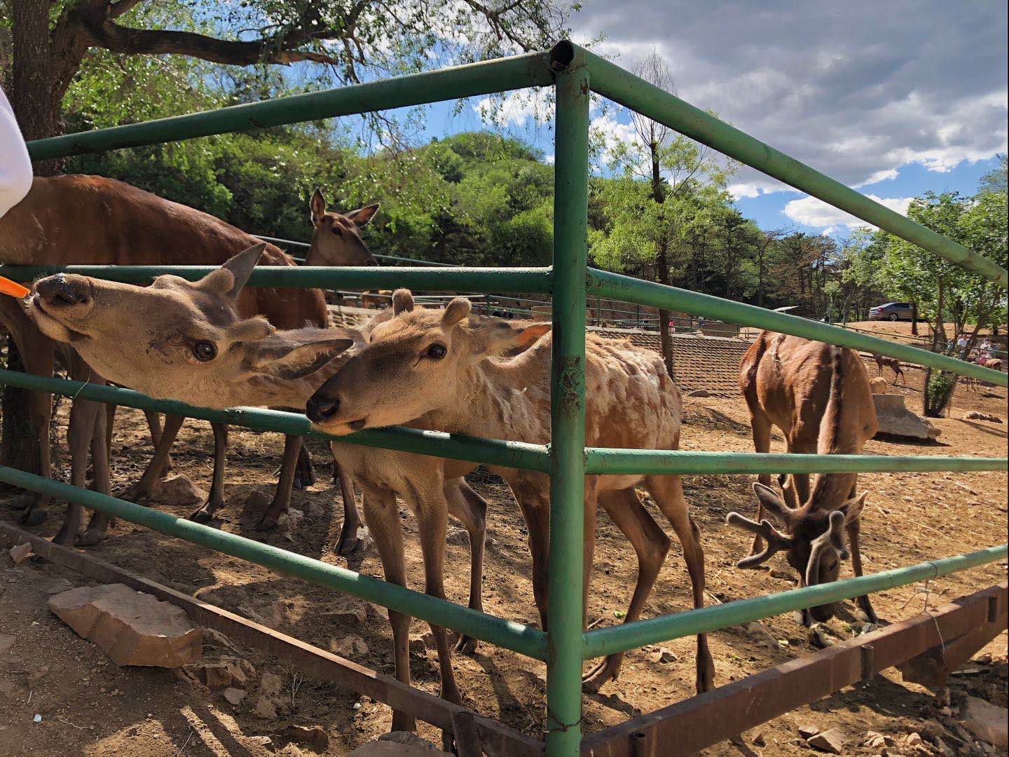 到鄉(xiāng)村去 感受慢生活時(shí)尚