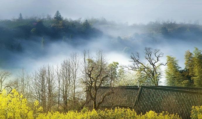 山前屋后