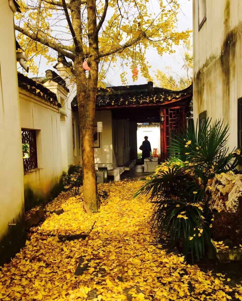 一封情书致查济 爱上你的一年四季