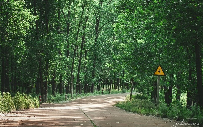 三月合肥 是谁打翻了上帝的颜料盘