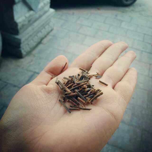 茶梗