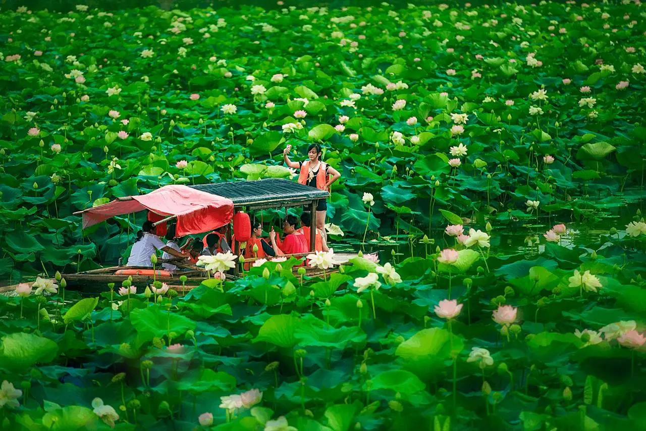 淮南:你只知道她的煤 却不知道她的美